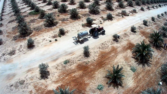 伊拉克卡尔巴拉种树减少沙漠化影响