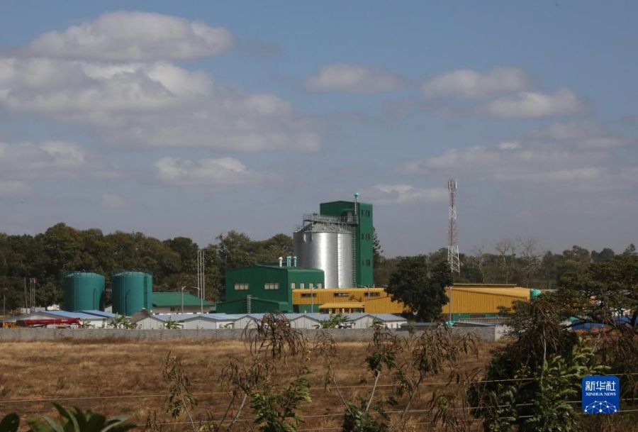 这是6月2日在赞比亚卢萨卡拍摄的中国政府援建的玉米粉加工厂。新华社记者 张玉亮 摄