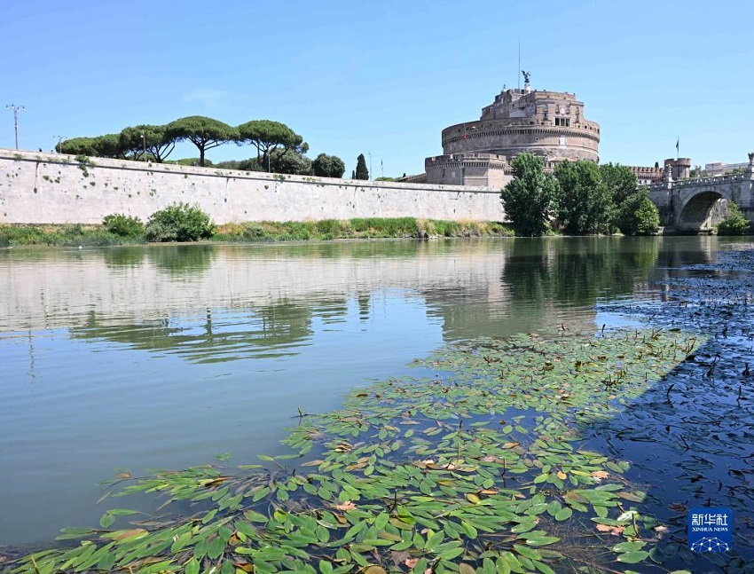 意大利：台伯河水位降低【2】