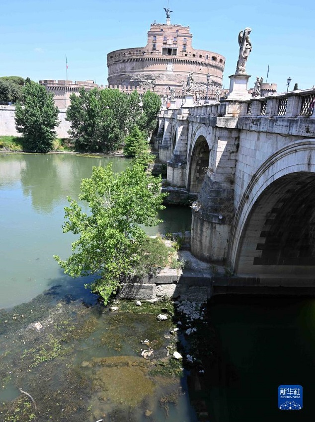 意大利：台伯河水位降低【4】