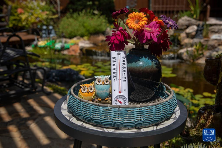 这是7月22日在美国得克萨斯州艾伦市拍摄的一户居民家的温度计。得克萨斯州多地高温天气持续，除引发健康问题外，也导致部分地区电力供应紧张。新华社发（金新摄）