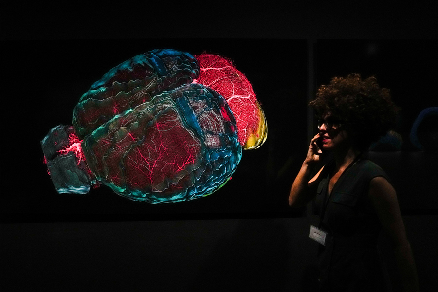 西班牙巴塞罗那举办“人类大脑”展览
