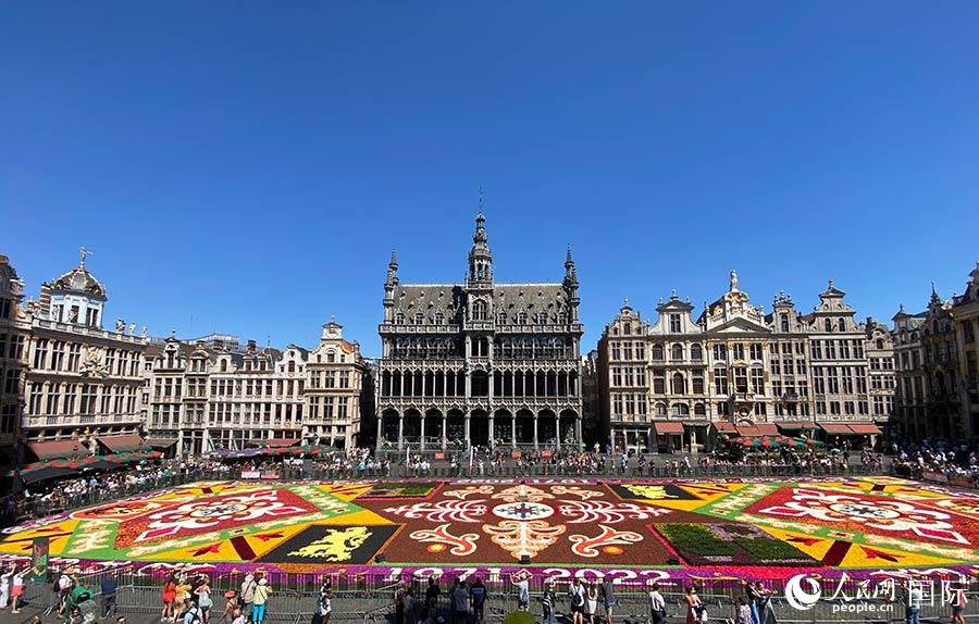 图为布鲁塞尔大广场铺装“鲜花地毯”全景。人民网记者 张朋辉摄。