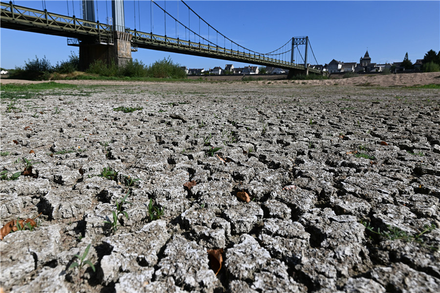 法国干旱持续 卢瓦尔河水位处于历史最低