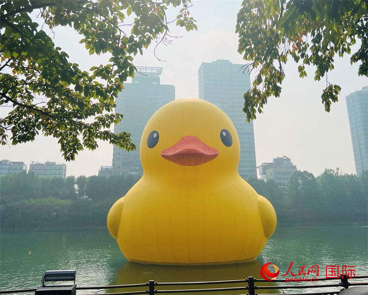 由荷兰艺术家弗洛伦泰因·霍夫曼创作的巨型橡皮大黄鸭艺术品将从9月30日至10月31日在首尔展出。人民网记者 张悦摄