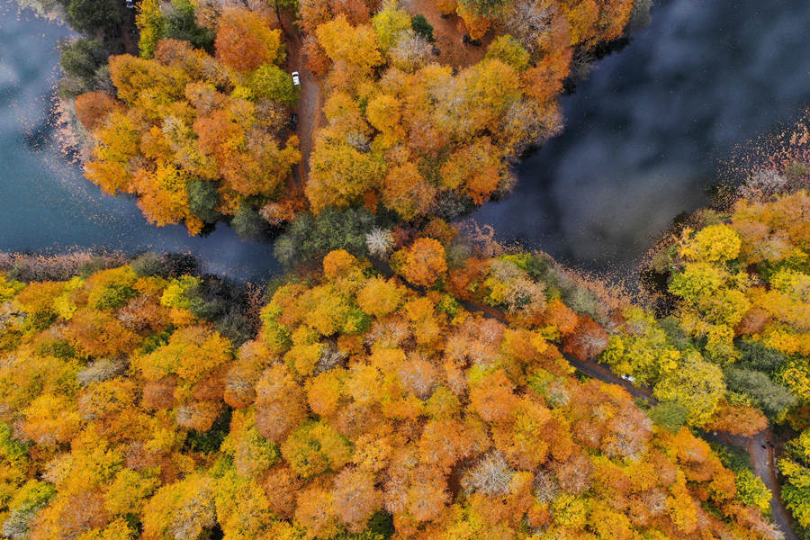 土耳其七湖国家公园换上秋装满目金色