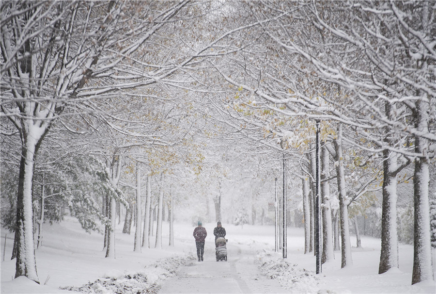 加拿大蒙特利尔迎来强降雪 城市银装素裹变白色童话世界