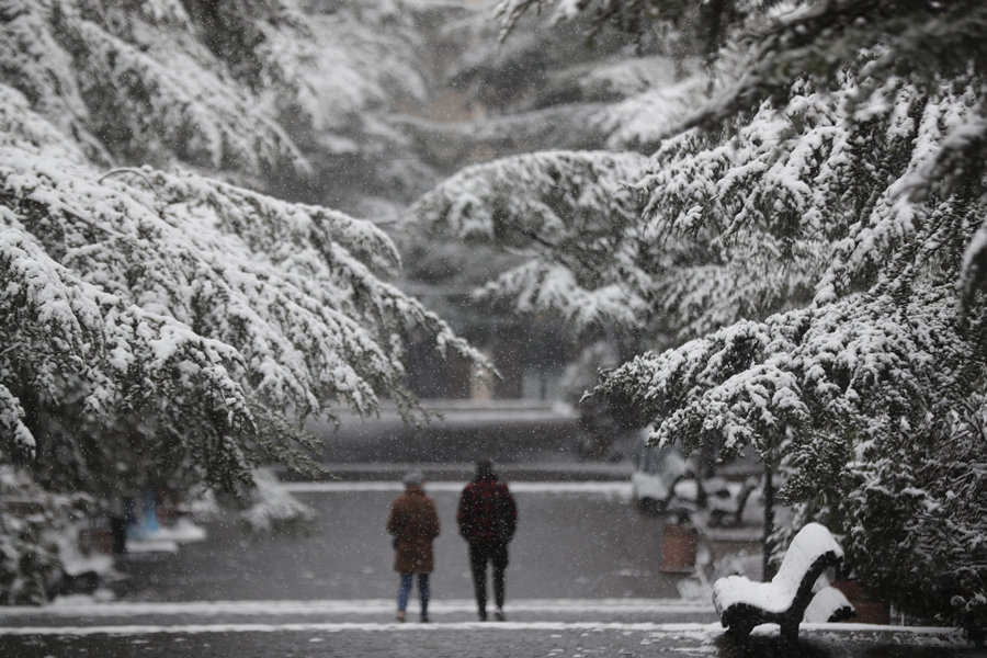 格鲁吉亚山区迎来降雪 公园雪景美不胜收