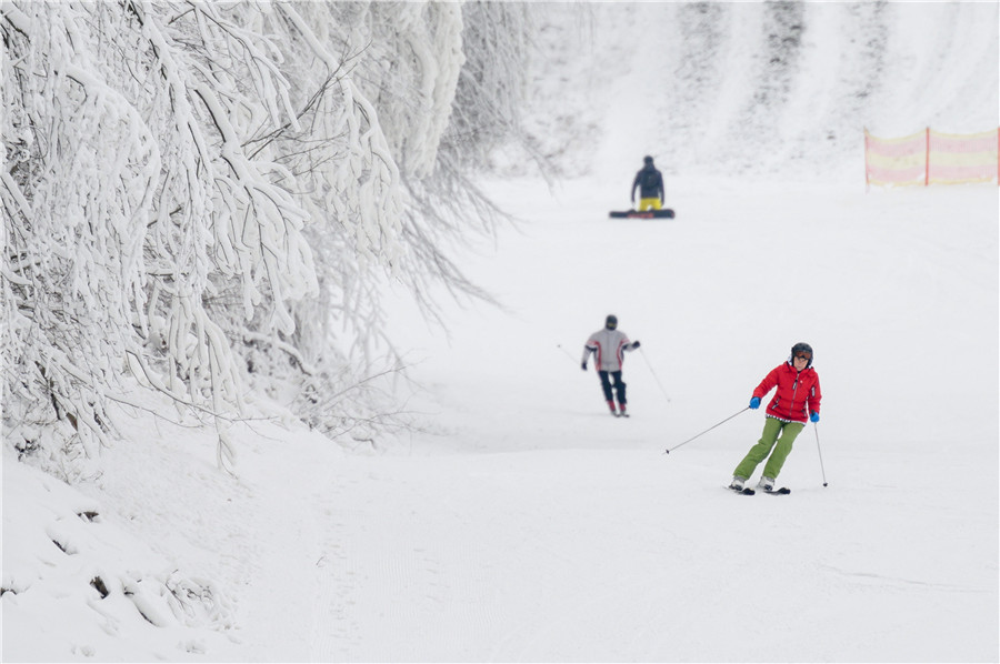 匈牙利滑雪场滑雪季开幕 滑雪者相聚雪道玩耍
