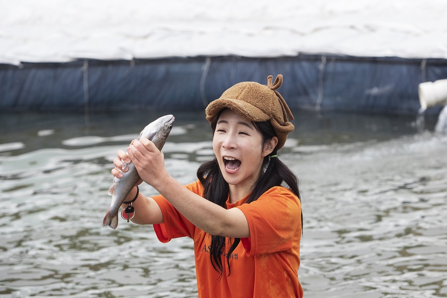 韩国华川鳟鱼节 民众体验徒手抓鱼