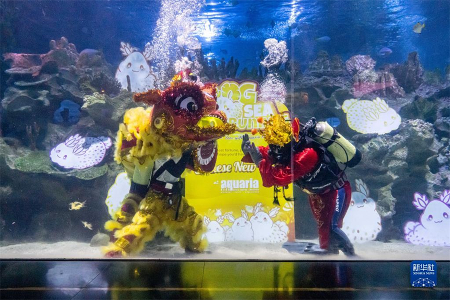 吉隆坡：水族馆里贺新年