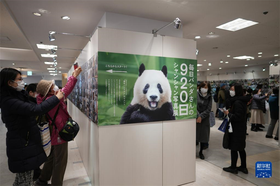 2月17日，人们在日本东京参观“920日香香摄影展”时拍照。近日，“920日香香摄影展”在日本东京的百货公司松坂屋开展，展出了日本大熊猫摄影师高氏贵博拍摄的大熊猫“香香”。展览从高氏的10万张照片中精选出920张，记录了2017年12月19日至2022年11月27日期间他与“香香”见面的920天。新华社记者 张笑宇 摄