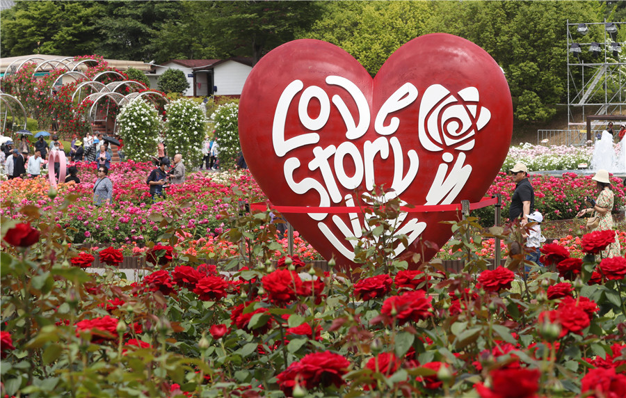 韩国蔚山举办玫瑰节