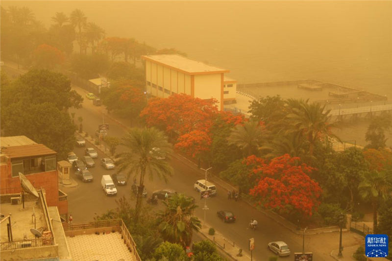 6月1日，埃及开罗笼罩在沙尘中。新华社记者 隋先凯 摄