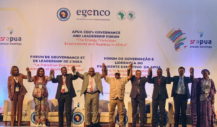 图说：各方嘉宾出席非洲电力公用业绩协会年会。 供图：人人动力互联网发展妥洽组织