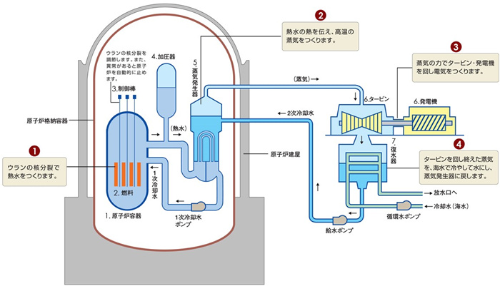 核电站运作原理图。通常的核电站排水未直接接触核燃料。（图片来源：日本北海道电力株式会社网站）