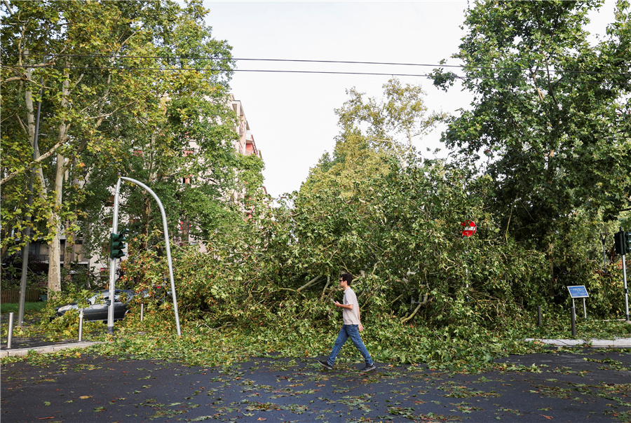 意大利米兰遭龙卷风和暴雨侵袭 大量树木被刮倒