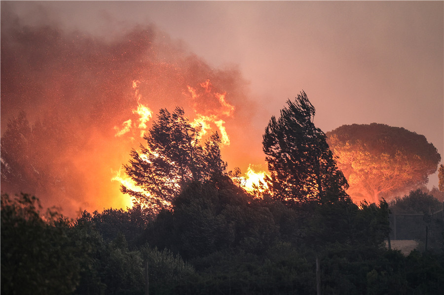 葡萄牙卡斯卡伊斯发生山林火灾