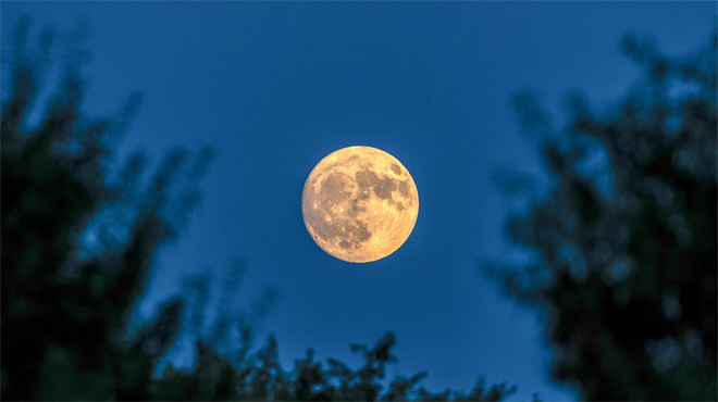 伦理电影排行_香港三级片电影推荐最好看的十部香港三级片电影排行榜_排..._,(2)