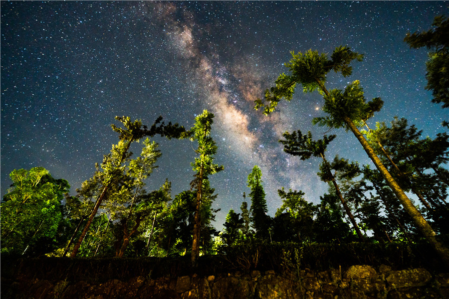 绝美！斯里兰卡银河照亮森林上空