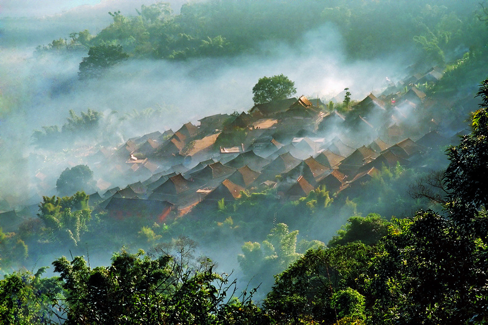 组图：全球首个茶主题世界文化遗产――景迈山古茶林