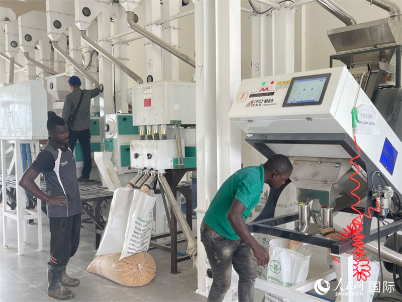 尼日利亚农业技术示范中心小型农产品加工车间。人民网记者 赵艳红摄
