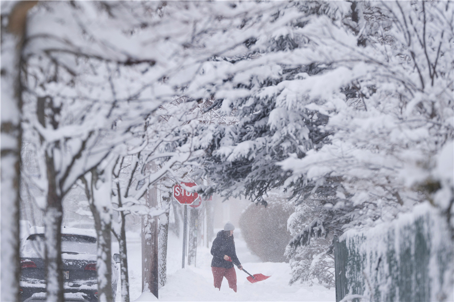 加拿大哈利法克斯遭遇暴风雪袭击