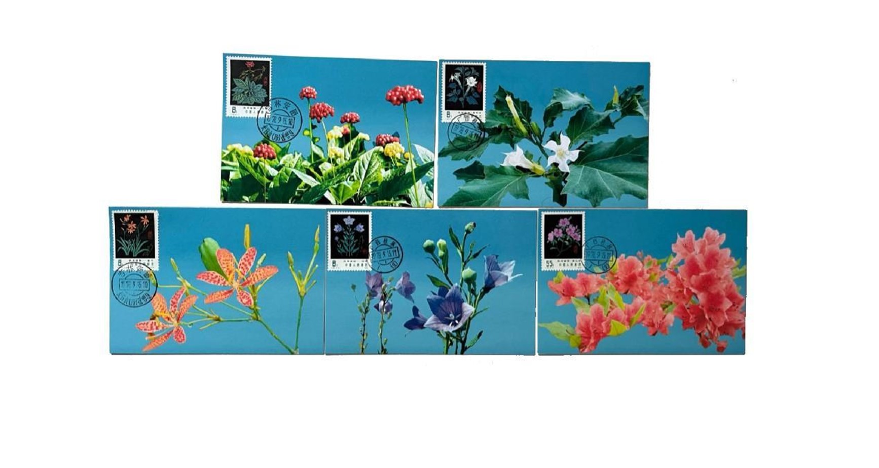 首套药用植物极限片。第七届阿联酋集邮展主办方供图
