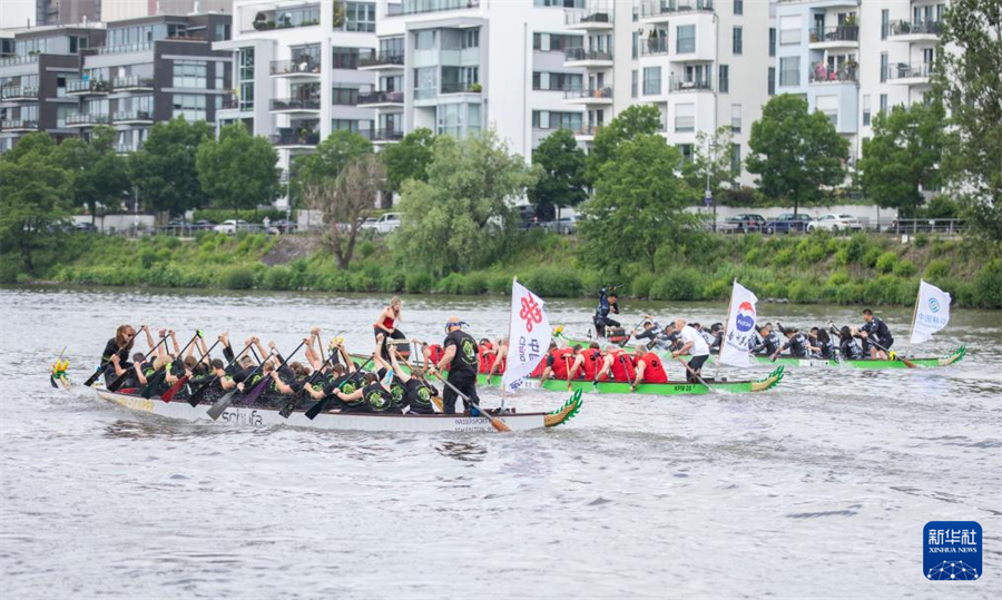5月25日，在德国法兰克福，龙舟队伍在美因河上参加比赛。新华社记者 张帆 摄