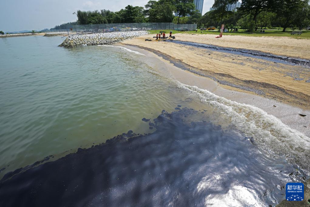 这是6月16日在新加坡东海岸公园拍摄的受到污染的海滩。