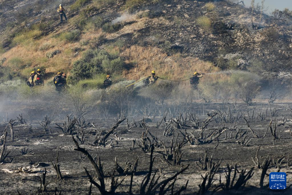 6月16日，消防队员在美国加利福尼亚州洛杉矶县西北部的戈曼地区进行灭火作业。
