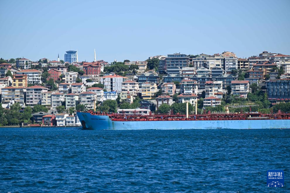 这是6月19日在土耳其伊斯坦布尔拍摄的博斯普鲁斯海峡岸边风光。新华社记者 刘磊 摄