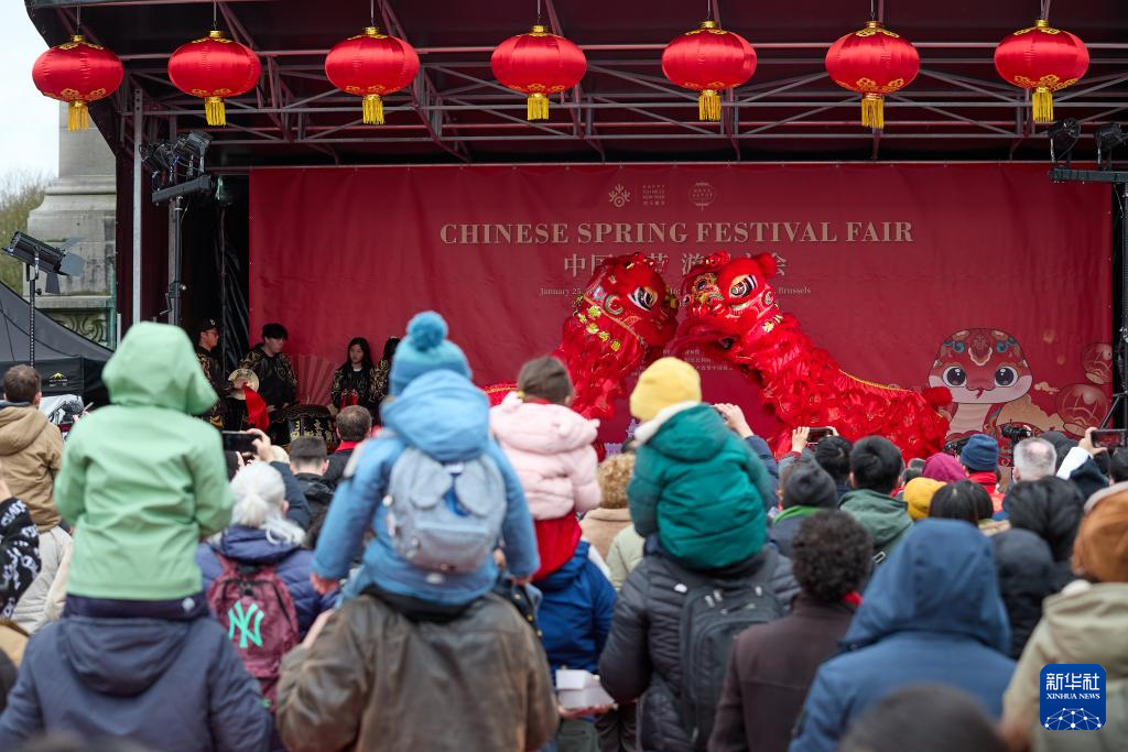 1月25日，观众在比利时首都布鲁塞尔举行的“中国春节游园庙会”活动上观看舞狮。新华社记者 孟鼎博 摄