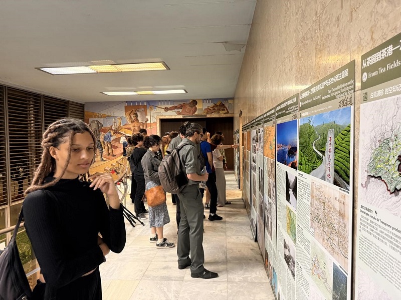 巴西民众正在观看“万里茶道建筑遗产与茶文化双主题展”。策展团队供图