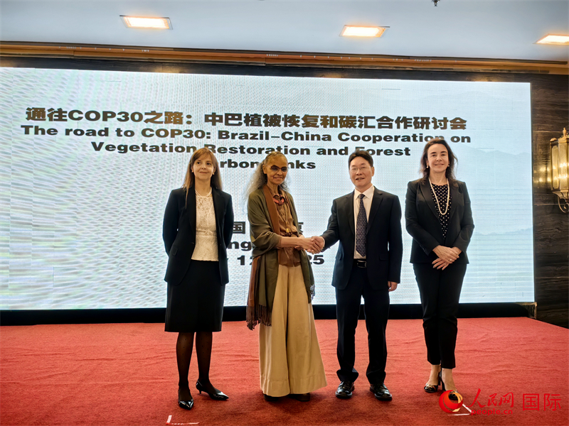 中国国家林业和草原局副局长李云卿（右二）、巴西环境和气候变化部部长玛丽娜·席尔瓦（左二）、巴西财政部副部长罗熙丹（右一）、巴西驻华大使馆公参乐美（左一）出席“通往COP30之路：中巴植树造林和碳汇合作研讨活动”。人民网记者 符园园摄