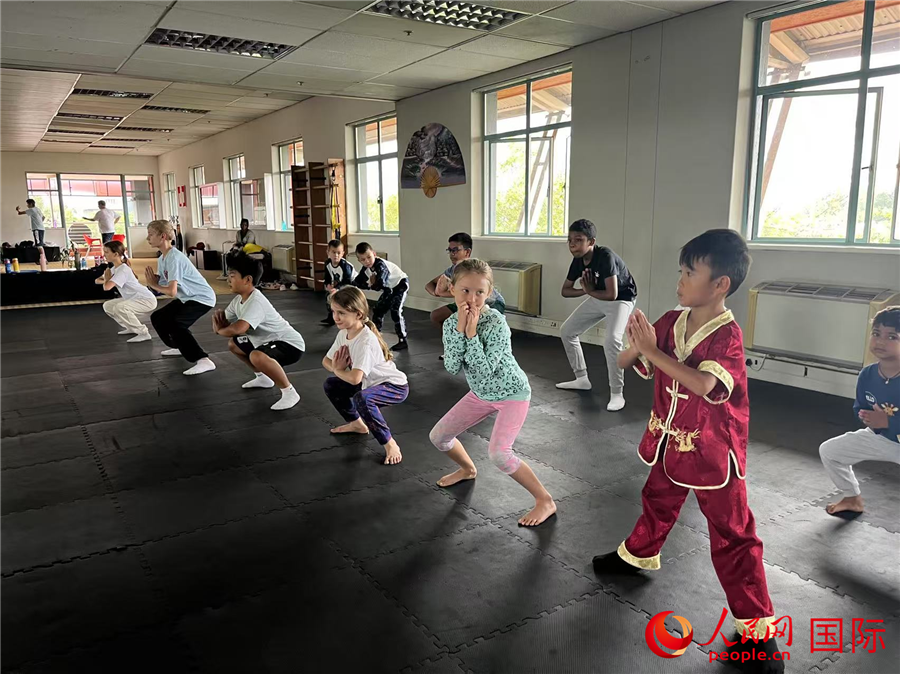 南非民众练习中国武术。人民网 希拉兹·莫林摄 