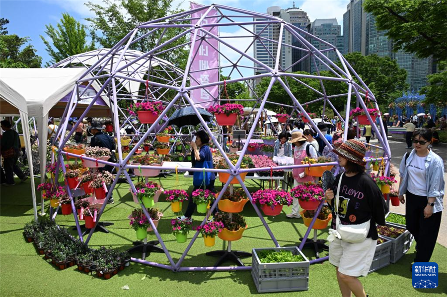 5月22日，游客在韩国首尔观赏园艺作品。新华社发（全休相摄）