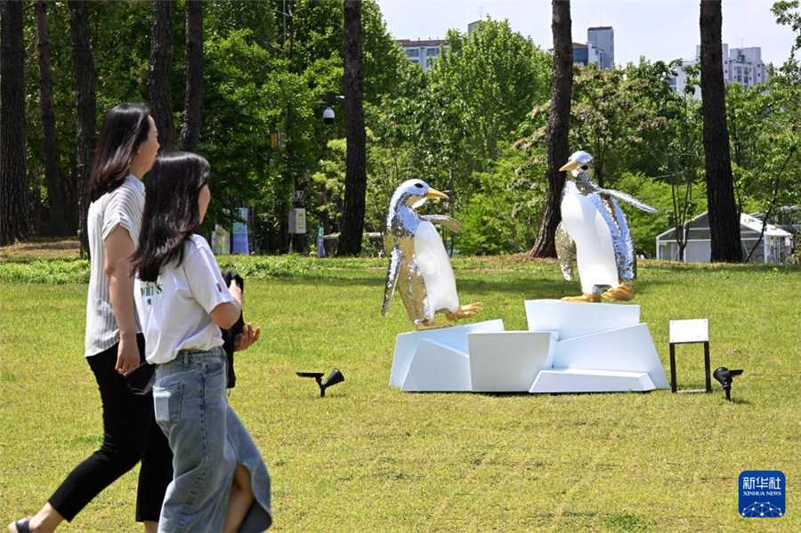 5月22日，游客在韩国首尔观赏园艺作品。新华社发（全休相摄）