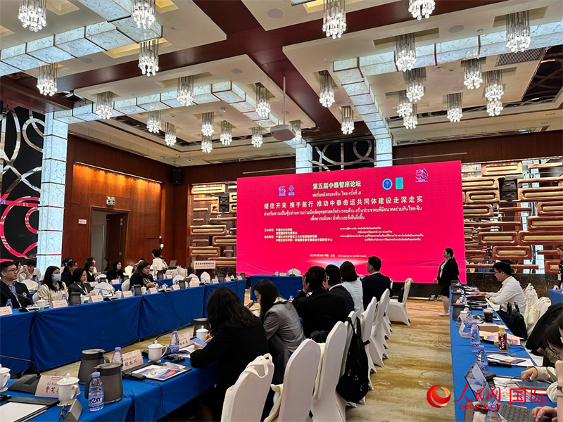 第五届中泰智库论坛现场。人民网 孙书宇摄