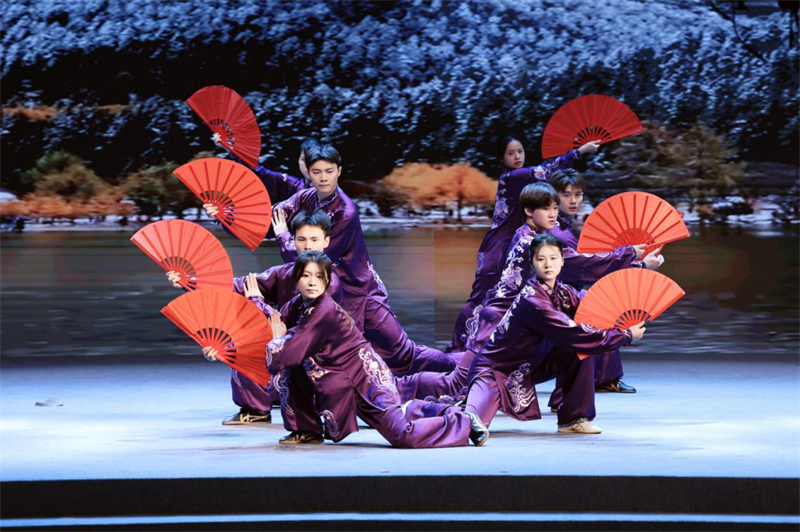 武术表演（主办方供图）
