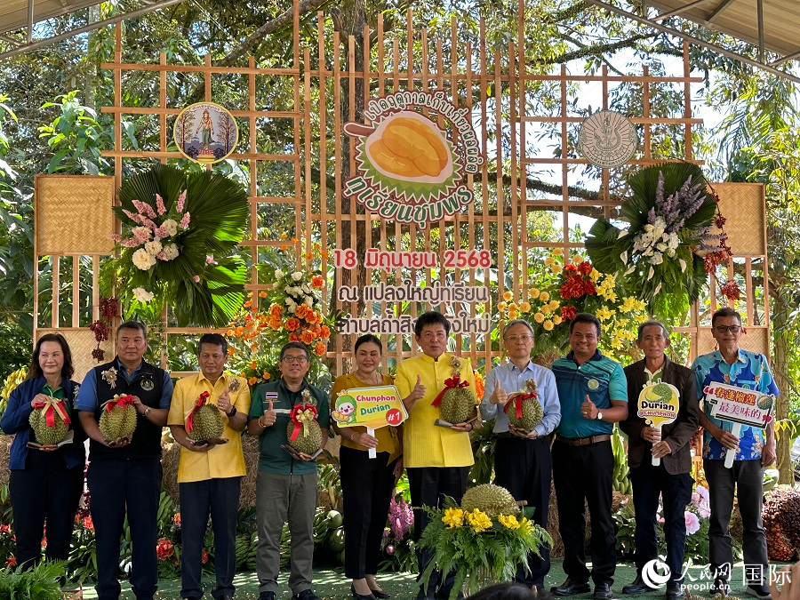 泰国南部春蓬府举办榴莲节。人民网记者 孙广勇摄