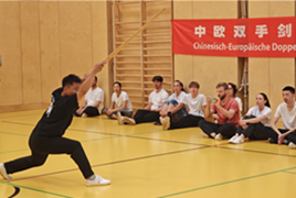 中奥武术文化交流活动在维也纳举办