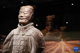 “兵马俑—陕西秦汉文明”展览亮相澳大利亚