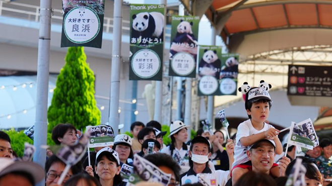 日本熊猫迷惜别归国大熊猫