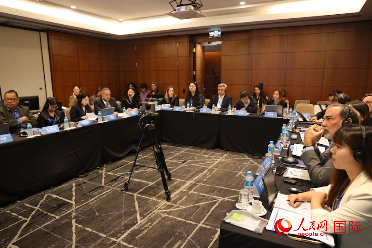 7月25日，第二届中拉人权圆桌会在巴西圣保罗举行。图为与会代表参与平行分论坛。人民网记者 时元皓摄