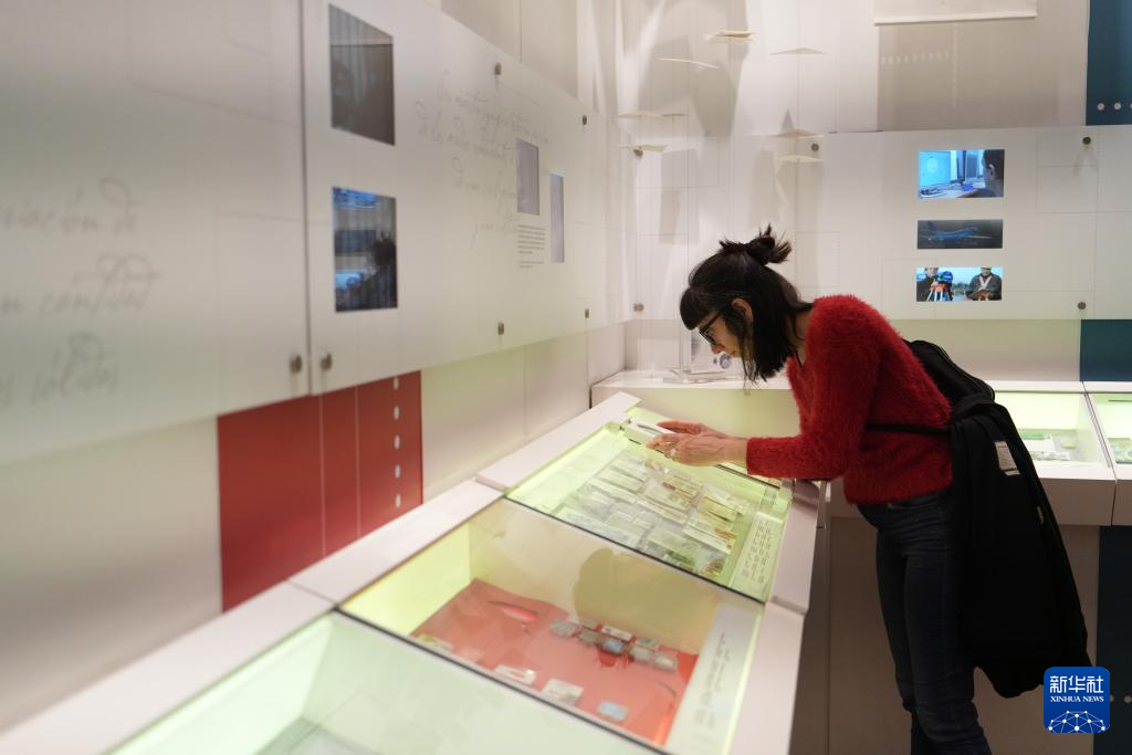 11月8日晚，一名观众在位于阿根廷布宜诺斯艾利斯自由宫内的邮票博物馆参观。新华社记者 张铎 摄