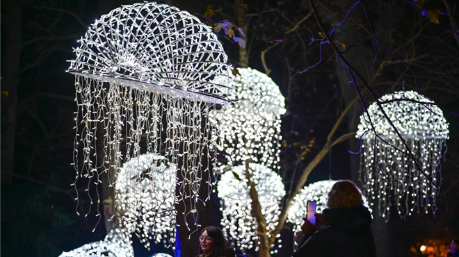 波兰华沙：“魔法植物园”灯光展开幕