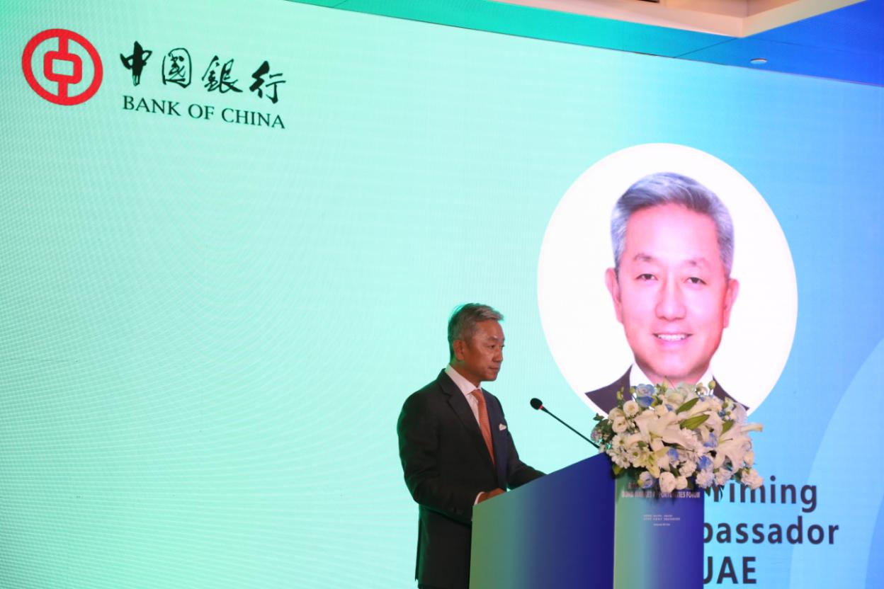 中国驻阿联酋大使张益明致辞，主办方供图