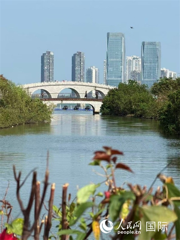 海南自贸港封关运作倒计时:开放之门已开,邀全球共赴新程