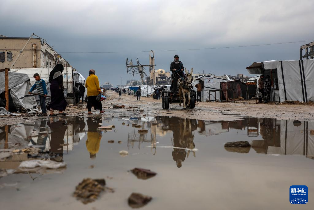 12月12日，一名男子在加沙城驾驶畜力车行进在积水的路段。新华社发（里泽克·阿卜杜勒贾瓦德摄）